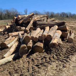 Logging Services | Timber Contractor | Osage Beach, Tuscumbia & Lake of ...